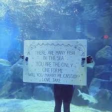 We the association of competent and aspiring psychologists (acap) would like to propose a. Cute Marriage Proposal Ideas Satterfield S Jewelry Warehouse Blog