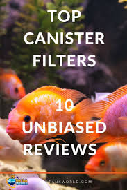 Canister Filters For Home Aquarium To Keep The Water Clean Fish Tank Diy Fish Tank Fresh Water Fish Tank