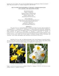 Pdf Key To The Wild Daffodils Narcissus Amaryllidaceae Of Alabama And Adjacent States