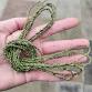 Bushcraft Workshop – Nettle Cordage event image