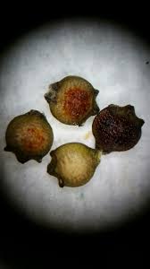 Image result for Rhynchospora eximia