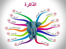 صعوبات التعلم النمائية الذاكرة