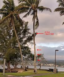 This video we visit a few sites from hilo to laupahoehoe that were impacted in the 1946 and 1960 tsunamis. A 26 Foot Wall Of Water Outside My Window