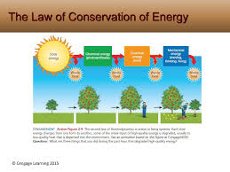 Use a specific example to support your. Science Matter Energy And Systems Ppt Download