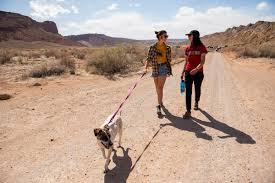 These listings are provided for information only; Pets Arches National Park U S National Park Service