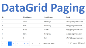 What changes to make in. Asp Net Core Blazor Datagrid Paging