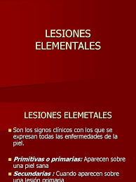 Lesiones elementales en dermatología 347. Lesiones Elementales Piel Epidermis