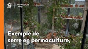 We would like to show you a description here but the site won't allow us. Serre En Permaculture Exemple D Amenagement Et Principes Youtube