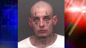 Evansville crash suspect charged in court