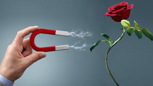 There are actually quite a few different ways to preserve flowers. How To Preserve Flowers Youtube