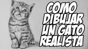 Como Dibujar Un Gato Bebe Realista Como Dibujar Pelo Animal Youtube Tinkles es un gato persa ansioso de poder y decide encabezar un masivo movimiento felino contra el mejor amigo del hombre, el perro. como dibujar un gato bebe realista como dibujar pelo animal