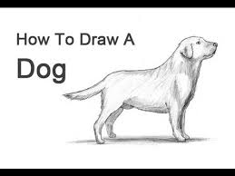 Image of drawing, drawn, walking. How To Draw Dogs 50 Best Dog Drawing Tutorials