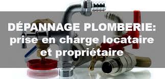 Prise En Charge Locataire Et Proprietaire Pour Depannage Plomberie