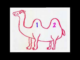 Sally the camel has no humps. Sally The Camel Barney In Concert Soundtrack Agaclip Make Your Video Clips