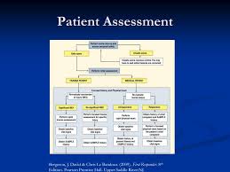 Ppt Assessment Of The Patient Powerpoint Presentation