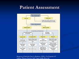 ppt assessment of the patient powerpoint presentation