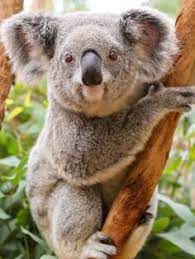 Check spelling or type a new query. Lorinda Harris Unicornldh Profile Pinterest