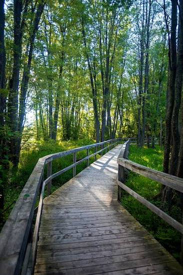 Local recreation destination