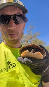 Just figured to share this with some of my fellow Helldivers