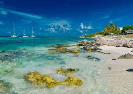 Download the aruba health app and register to generate your qr code before arriving at testcenter. How To Travel To Aruba During The Pandemic From The Us