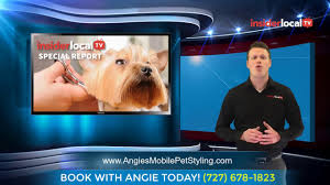 Call today to book your appointment, and let your pet indulge in one of our spa packages. Angie S Mobile Pet Styling Mobile Pet Grooming In A Location Near You