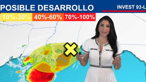 Paige Insco - Social Media Sensation