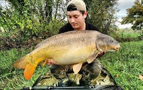 Peche Rep Decouvrez Notre Boutique En Ligne Fishxper Peche A La Carpe Peche A La Carpe Au Coup Peche A La Carpe Astuce Peche A La Peche Carpe Peche Carpe