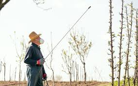 But what does this truly mean to you? 2021 Exterminator Cost Termites Bed Bugs Mice More