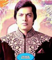 Pakistani film industry super stars