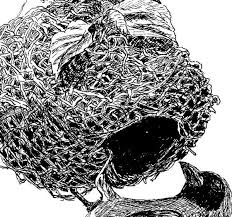 See more ideas about pen and ink, drawings, ink drawing. Introduction To Pen And Ink Online Art Lessons
