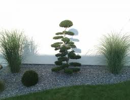 Pin Von Yami Perez Auf Decoracion Garten Garten Landschaftsbau Japanischer Garten