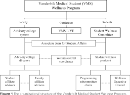 Figure 1 From A Comprehensive Medical Student Wellness