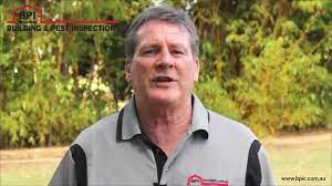 We provide carpet cleaning services to the fraser coast areas. Bpi Building Pest Inspections Hervey Bay