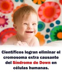 Javier Navarro Reyes Retana