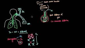 Image result for Diffusing Capacity