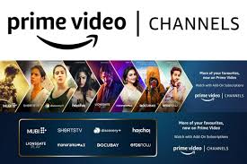 But amazon prime video is a great value. Amazon Prime Video Enters Content Distribution Space Launches Prime Video Channels The Financial Express