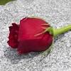 Il cantante bassanese michele merlo era ricoverato nel reparto di terapia intensiva dell'ospedale maggiore di bologna dopo essere. Https Encrypted Tbn0 Gstatic Com Images Q Tbn And9gcrctomiiamqr6trsqtjd04vhr Cua9jhmq0k4phixnwdir0gjl2 Usqp Cau