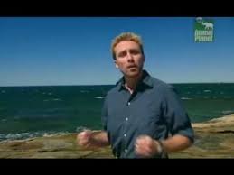 Crocodile hunter steve irwin dies when a stingray's barb pierces his chest. Steve Irwin Sein Letzter Film Part 5 Youtube
