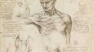 Medical art library is a resource for teachers, students, health professionals or anyone interested in learning about the anatomy of the human body. Anatomy Professor Uses 500 Year Old Da Vinci Drawings To Guide Cadaver Dissection Nova Pbs Nova Pbs