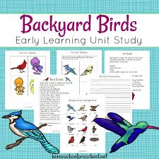 Free Resources To Teach Backyard Birds For Kids Bird Unit Study Unit Studies Homeschool Preschool Units