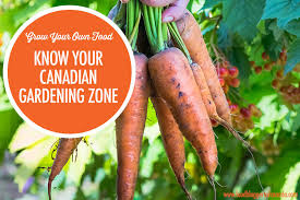 We constantly evaluate early stage technology companies, bringing them into our program. Grow Your Own Food Knowing Your Canadian Gardening Zone Food Bloggers Of Canada