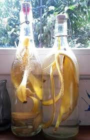 20 Choses Utiles A Faire Avec Une Peau De Banane En 2020 Jardin Dans Une Bouteille Pelures De Banane Astuce Jardin