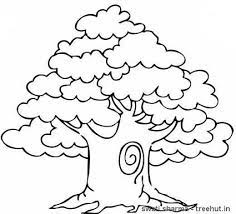 Big giant coloring poster colorings for children zooland. Trees Coloring Pages Coloring And Drawing