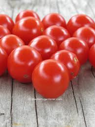 Tomatoes Planning The 2019 Season The Chatty Gardener