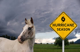 Check spelling or type a new query. How To Prepare Your Barn For A Hurricane Horse Rider