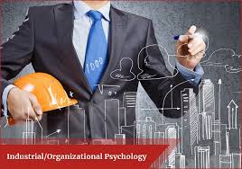 Academia, government, consulting firms, and business. Industrial Organizational Psychology Scope Careers Colleges Skills Jobs Salary