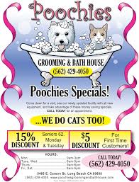 By 2024, there will be. Pin On Dog Grooming Business Marketing