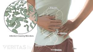 Lower Left Back Pain From Internal Organs