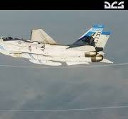 DCS: F-14 Tomcat