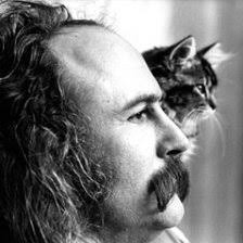 If I Could Only Remember My Name by David Crosby free ringtones for Android  & iPhone phones | Melofania
